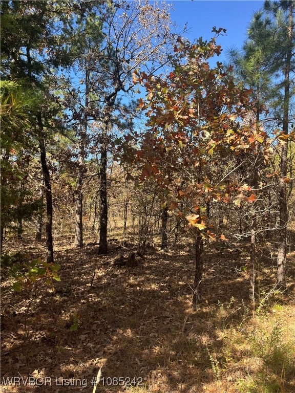 TBD S Booth Ave, Wister, OK 74966 - photo 1