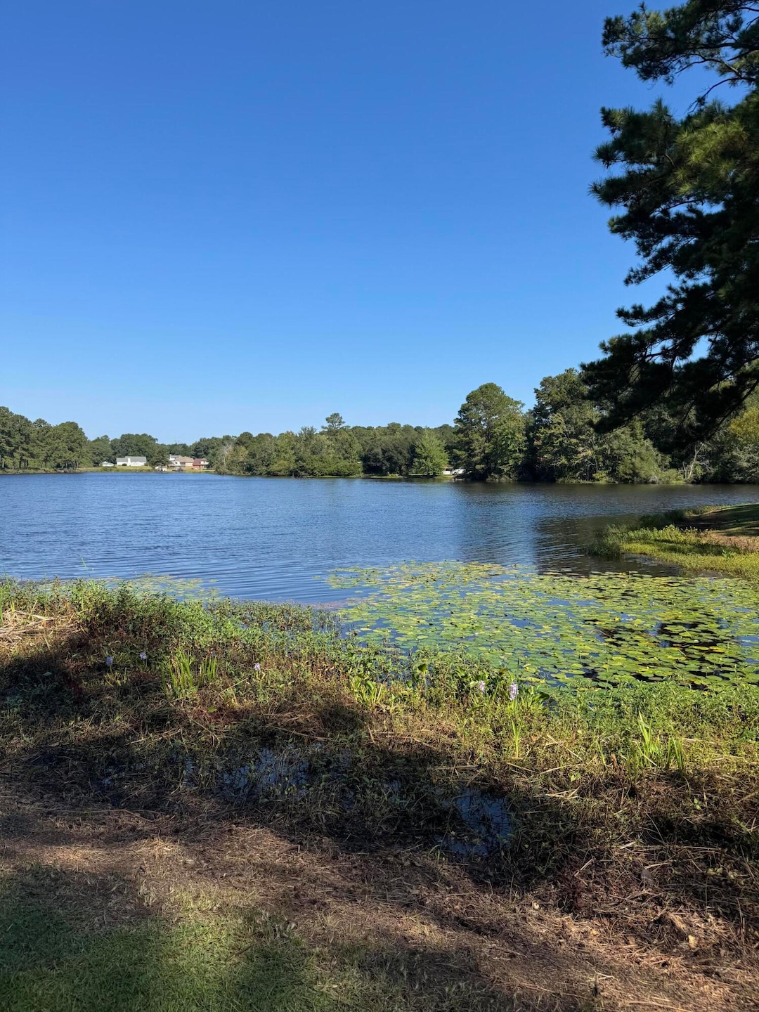 Under Contract $299,900