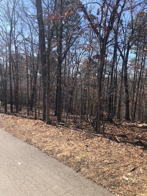 6 Radcliffe Dr, Bella Vista, AR 72714 - photo 1