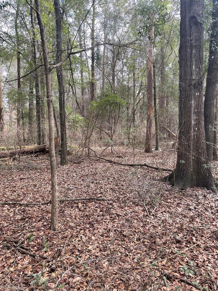 0 Choctaw Dr, Eufaula, AL 36027 - photo 1