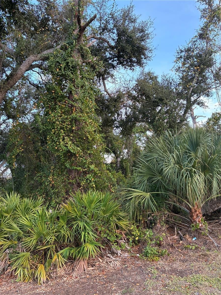 0 Mendavia Terrace unit MFRN6141672, North Port, FL 34286 - photo 1