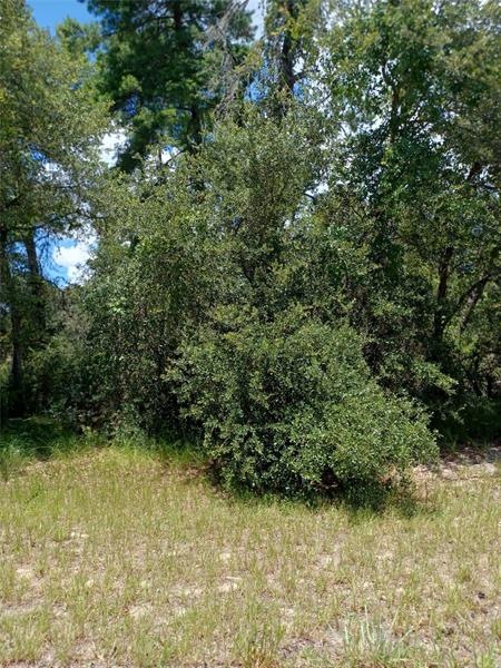 Lot 4 SW 168 Loop, Ocala, FL 34473 - photo 1