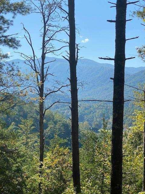 Pantalone Mtn View