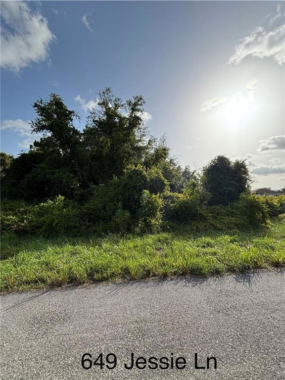 View of asphalt road