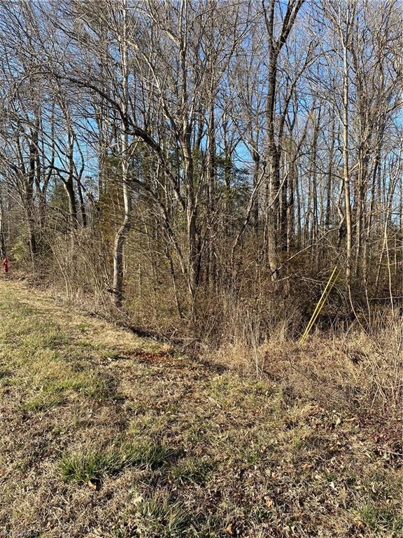 000 Southmont School Rd, Asheboro, NC 27205 - photo 1