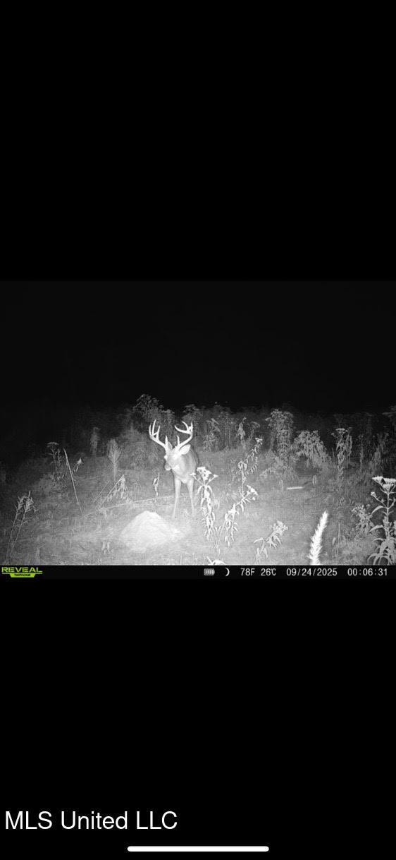 0 Highway 12, Tchula, MS 39169 - photo 1