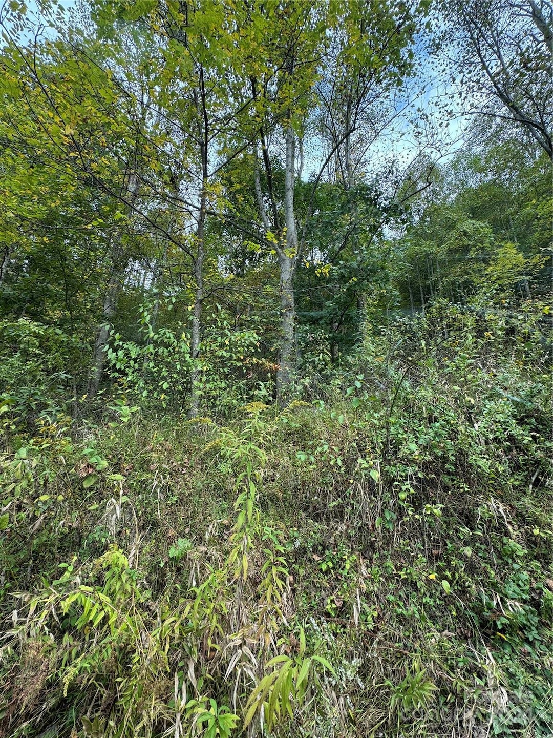 For Sale $29,000 • Co-Listing Agent