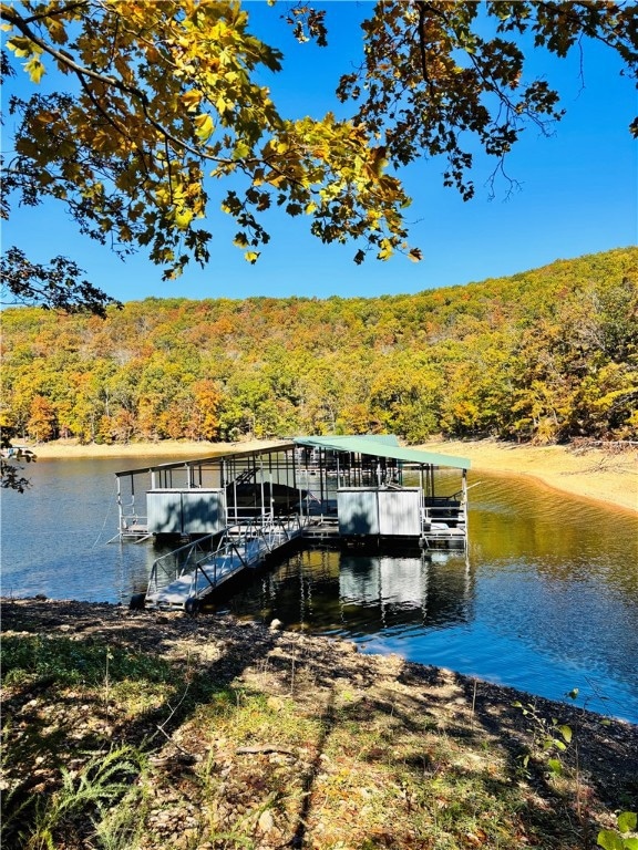 2 Slip Boat Dock Included