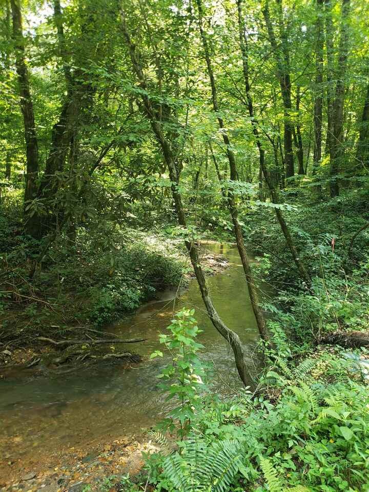 1821 Bean Creek Rd, Sautee Nacoochee, GA 30571 - photo 1