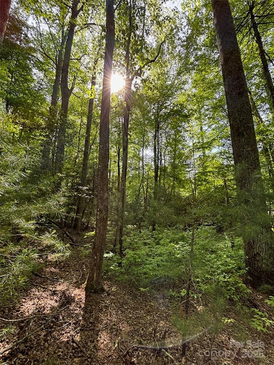 99999 Small Creek Rd unit 4, Brevard, NC 28712 - photo 1