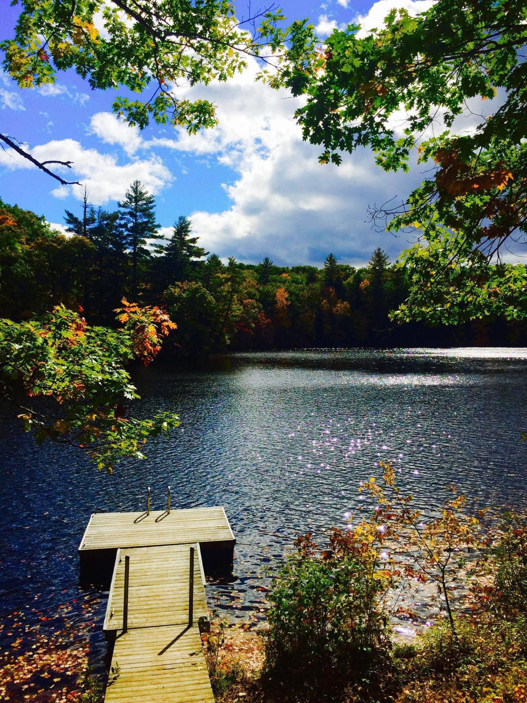 Dock