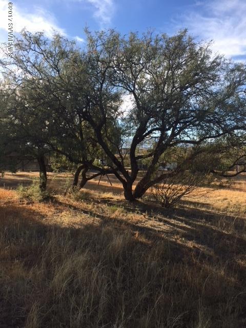 unlisted-address, Cornville, AZ 86325 - photo 1