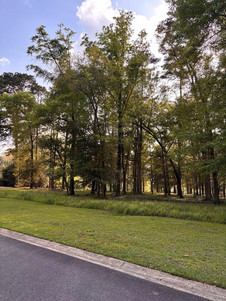 Sold $310,000 • Co-Listing Agent