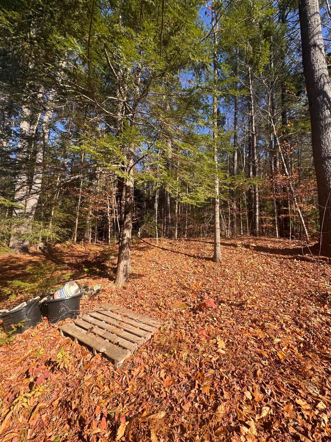 00 Newbury Rd unit 764-534, Sutton, NH 03260 - photo 1