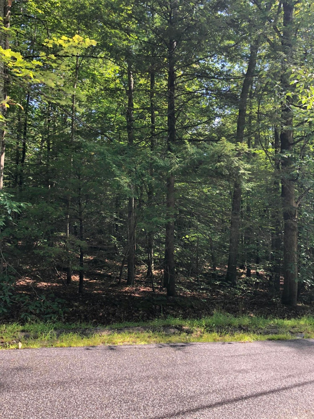 0 Dutton Hill Rd unit 1432651, Gray, ME 04039 - photo 1