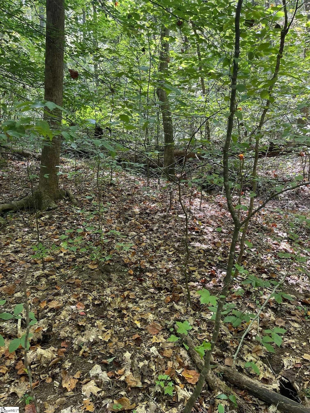 524 Turner Hill Rd, Easley, SC 29642 - photo 1