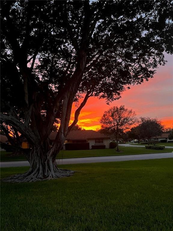 Beautiful Sunsets