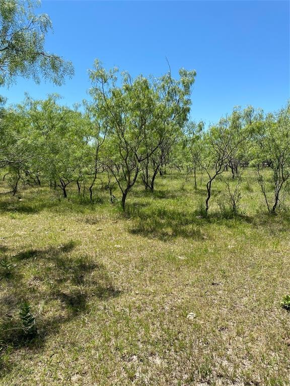 Lot 10 TBD Fm 1181, Ennis, TX 75119 - photo 1