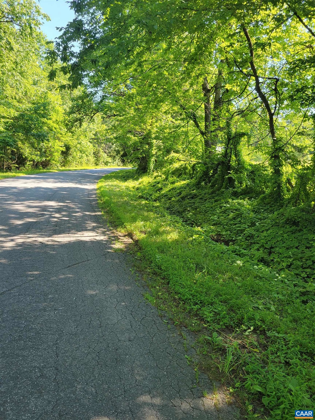 0 Gilbert Rd unit 631325, Ruckersville, VA 22968 - photo 1