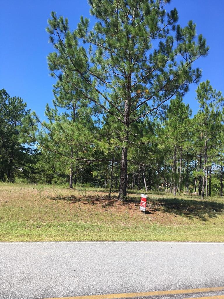 Lot # 24 Fairway Dr, Vidalia, GA 30474 - photo 1