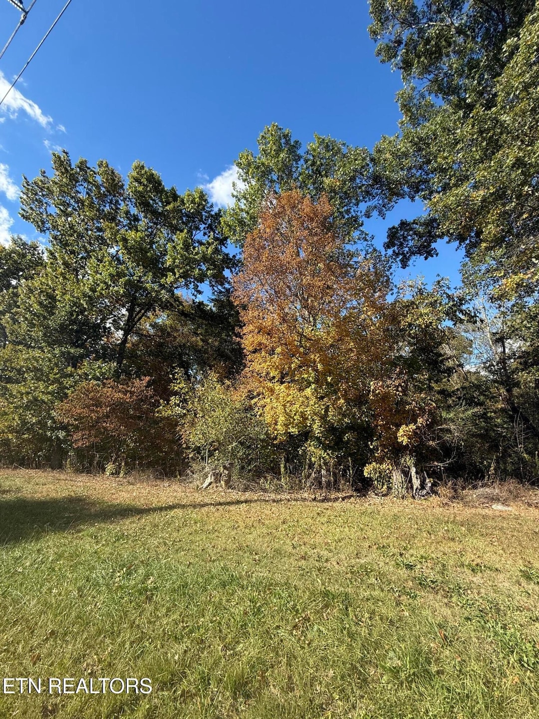 846 Porterfield Gap Rd, Seymour, TN 37865 - photo 1