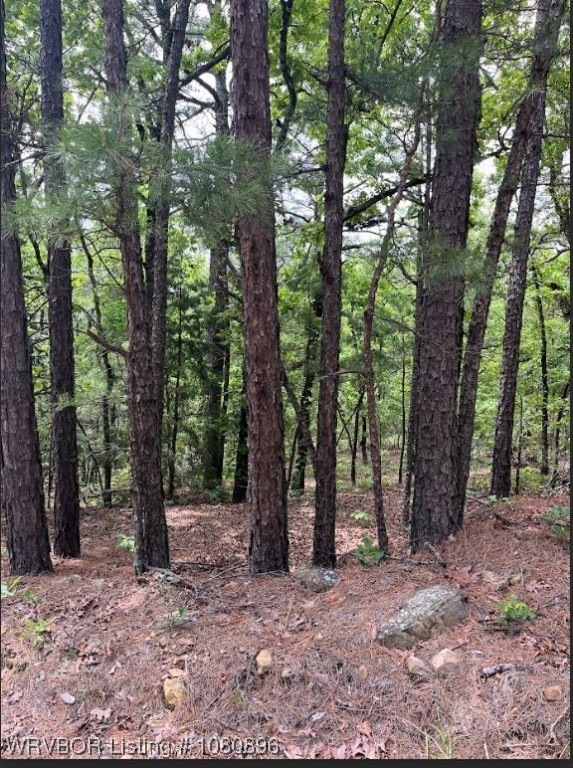 TBD Rural Latimer County, Red Oak, OK 74563 - photo 1