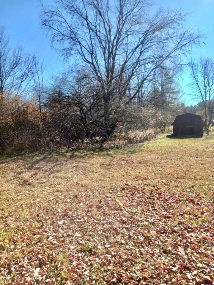Resized_1000000880