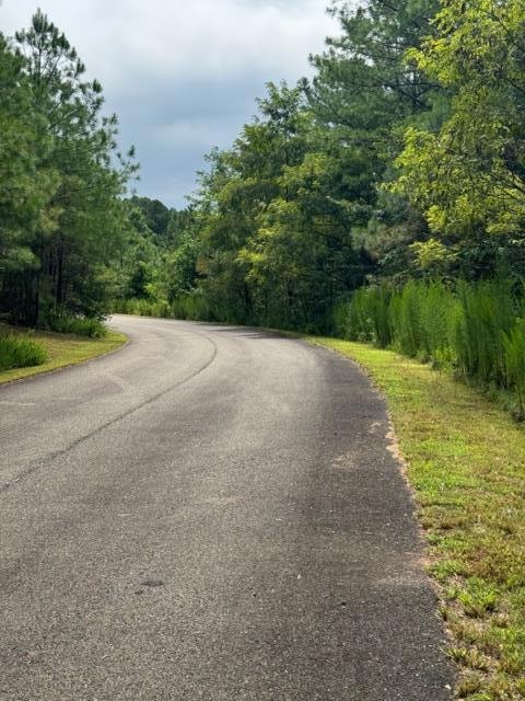 LT 43&44 Reece Mountain Rd, Ellijay, GA 30546 - photo 1