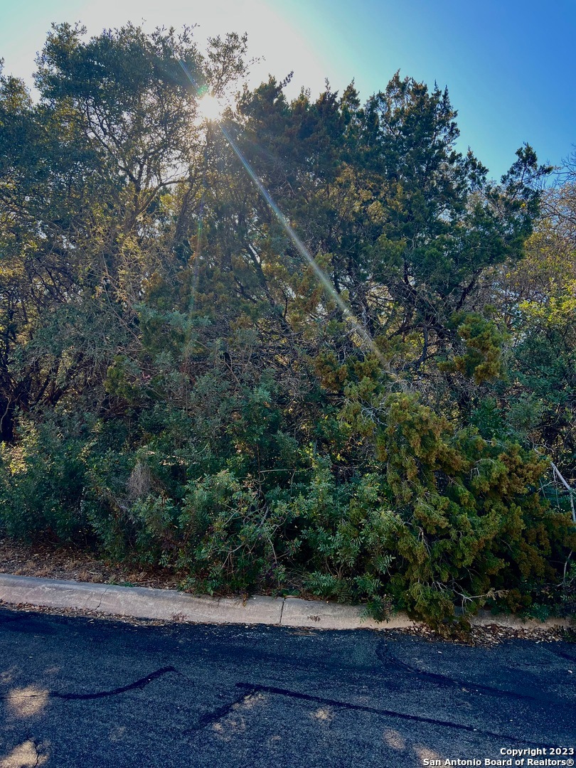 16813 Fox Ridge, San Antonio, TX 78023 - photo 1