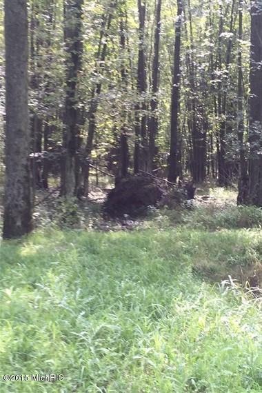 0 Tonkey Rd unit 15049868, Standish, MI 48658 - photo 1