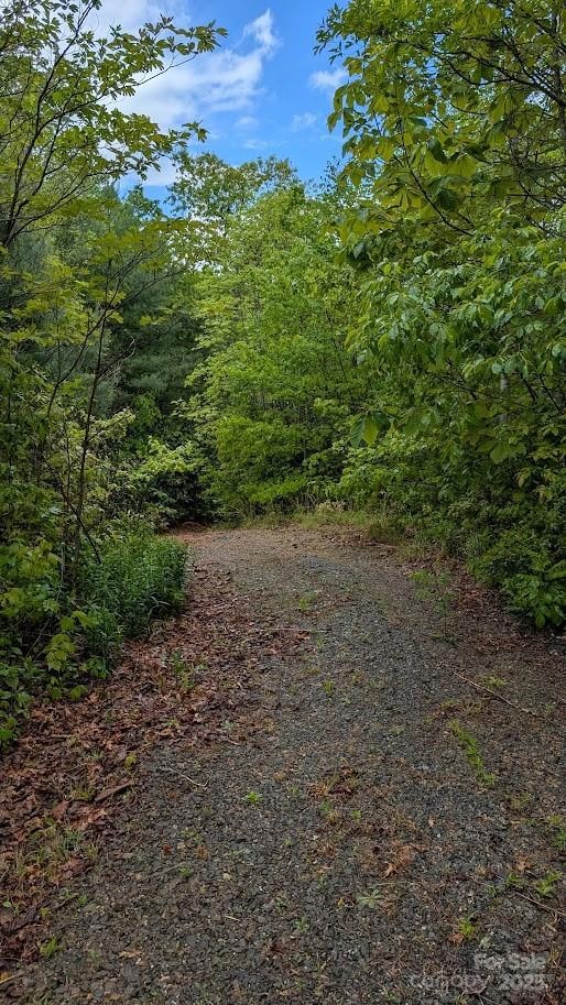 Sold $50,000 • Co-Listing Agent