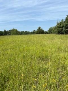 TBD County Road 2610, Tenn Colony, TX 75861 - photo 1