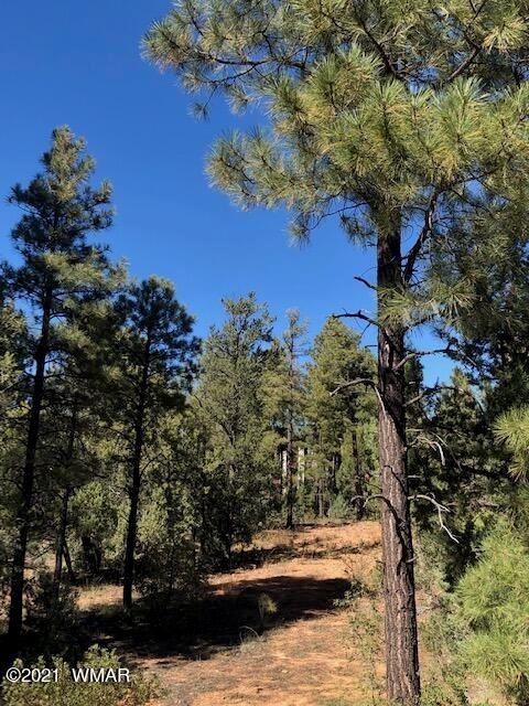 Snow Creek Lot 67