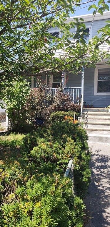 34 Waverly St unit 1, Brighton, MA 02135 - photo 1