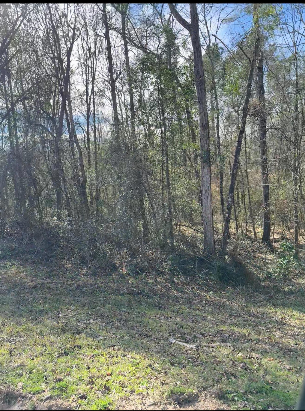 Village Loop Road view