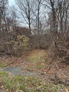 28 Tower Ln, Naugatuck, CT 06770 - photo 1