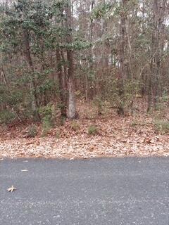 Lot 211 Prices Bridge Ln, Walterboro, SC 29488 - photo 1