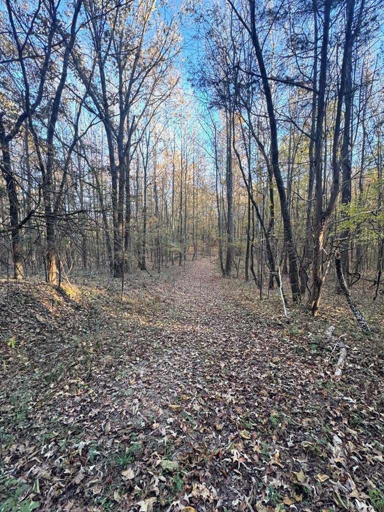 00 Cr 311, Oxford, MS 38655 - photo 1