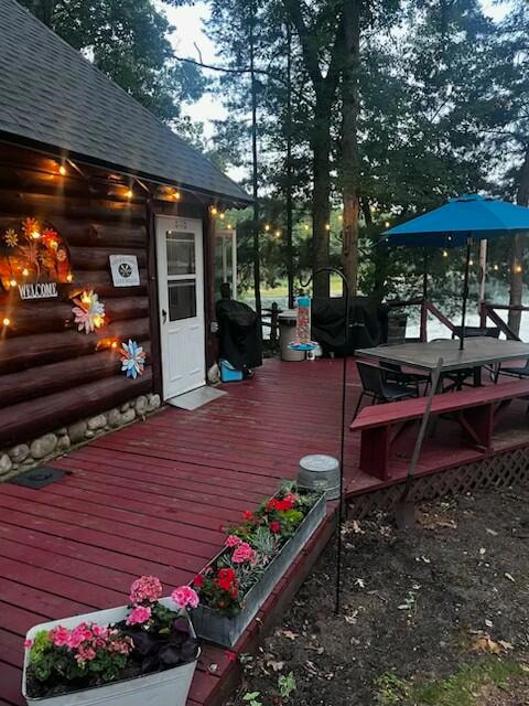 9013 S Three Lakes Ln, Baldwin, MI 49304 - photo 1