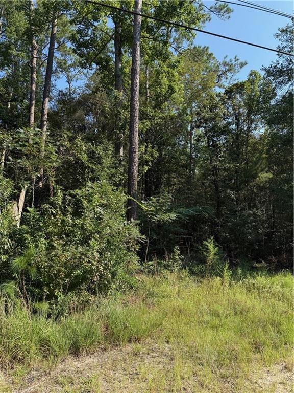 TBD Highway 190, Covington, LA 70433 - photo 1