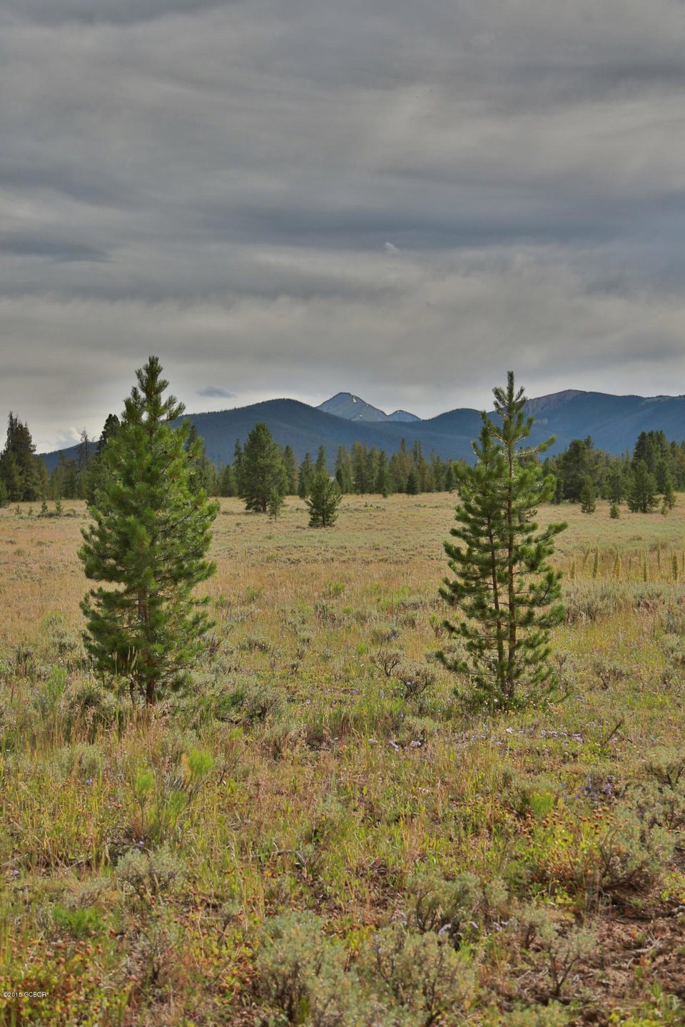 Mountain view 2