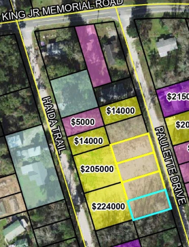 Lot 51 Paulette Dr, Crawfordville, FL 32327 - photo 1