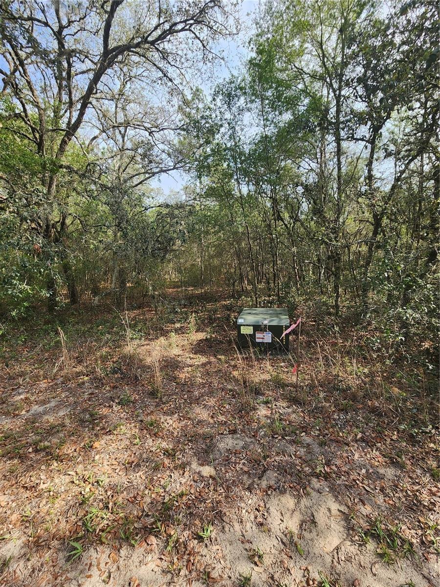 4428 N Forest Lake Dr, Hernando, FL 34442 - photo 1