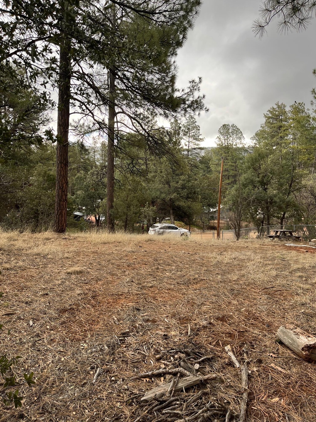 173 Hunt Dr, Pine, AZ 85544 - photo 1