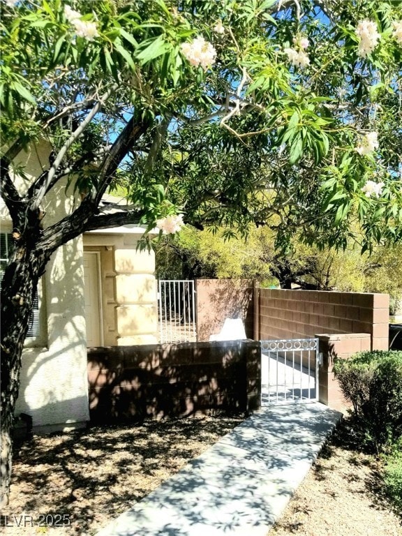 3252 Little Stream St, Las Vegas, NV 89135 - photo 1