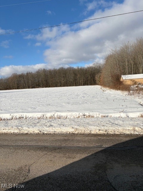 0 Griggs Rd unit 5176126, Jefferson, OH 44047 - photo 1