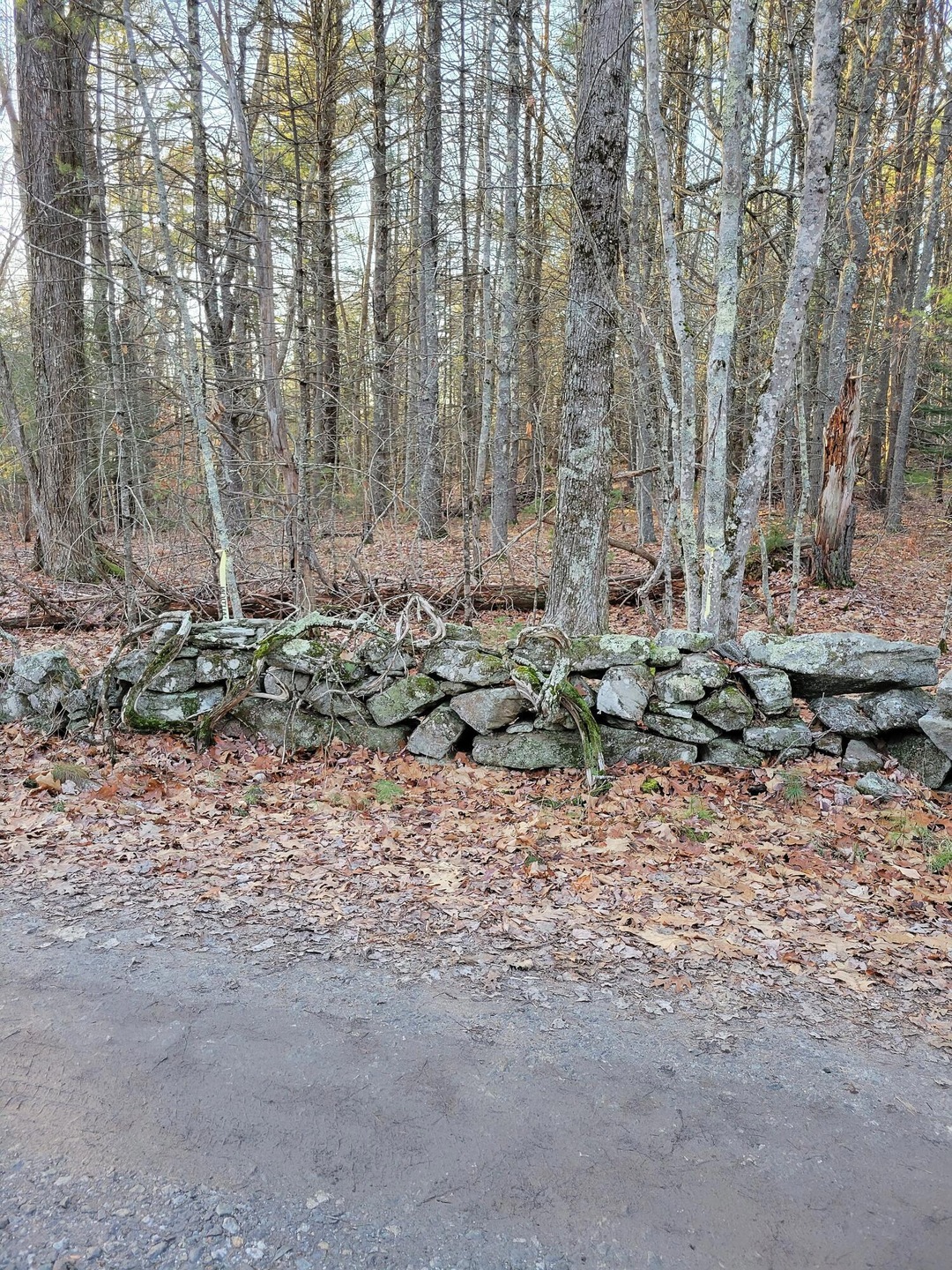 00 Henry Rd, Georgetown, ME 04548 - photo 1