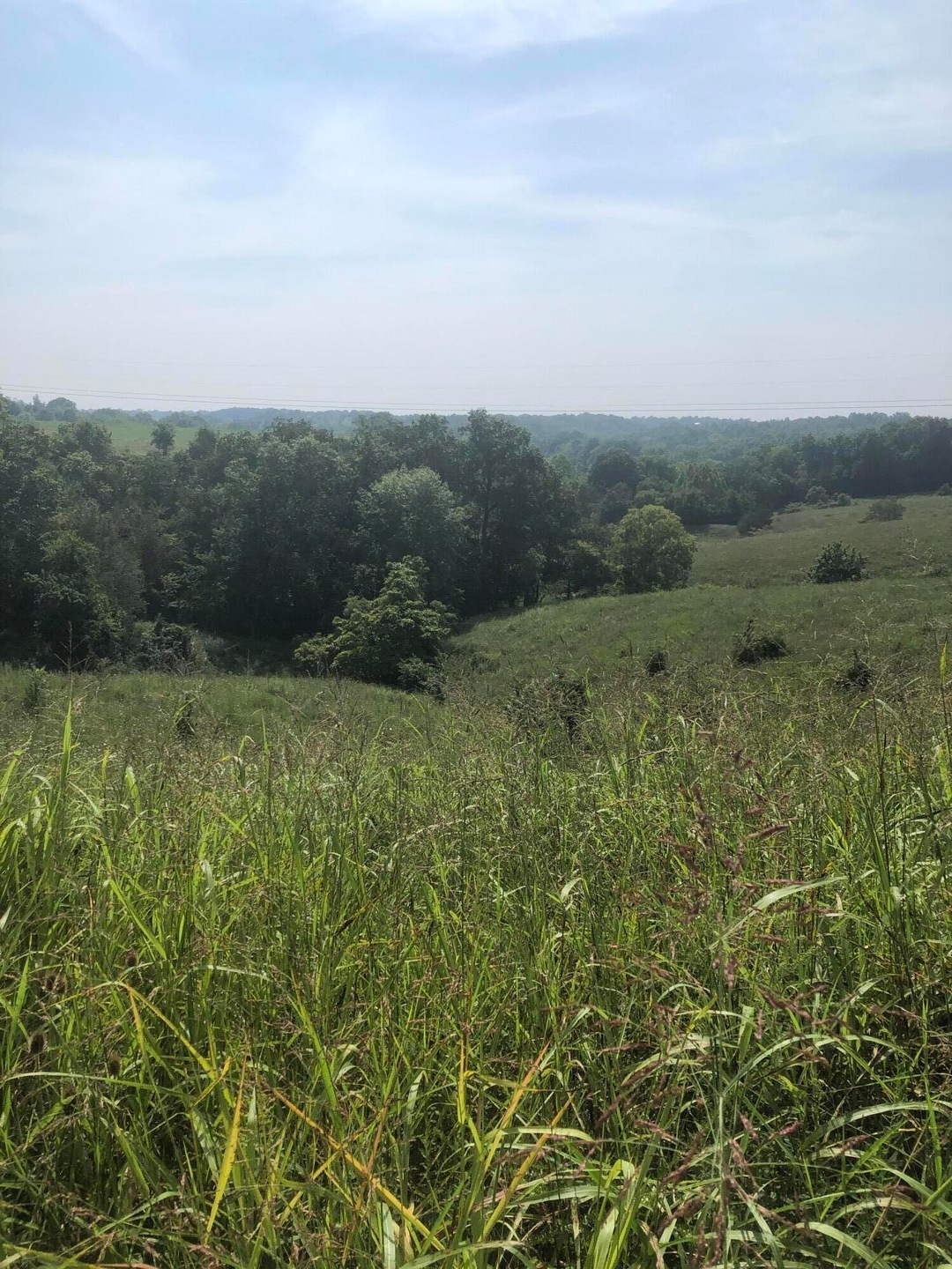 5 Chowning Ln, Bloomfield, KY 40008 - photo 1