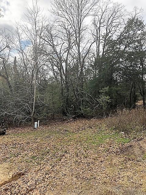 12801 White Rock Rd, Mabank, TX 75147 - photo 1