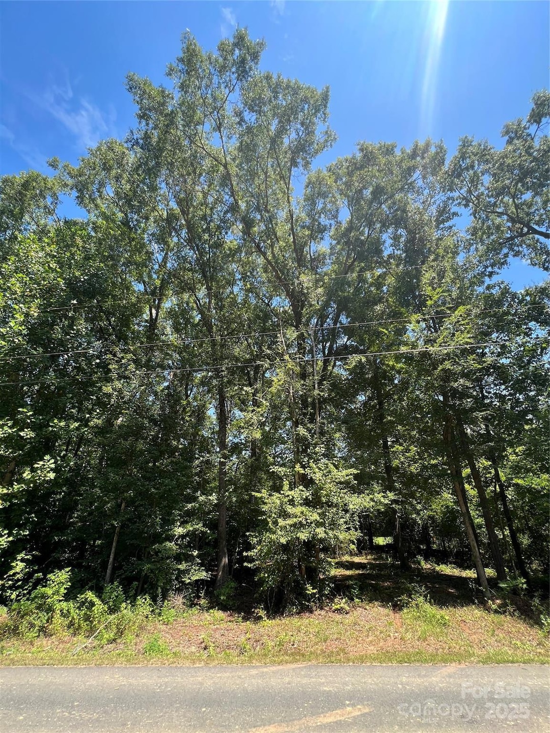 0 Playground Ln unit 21 CAR4285915, Salisbury, NC 28146 - photo 1